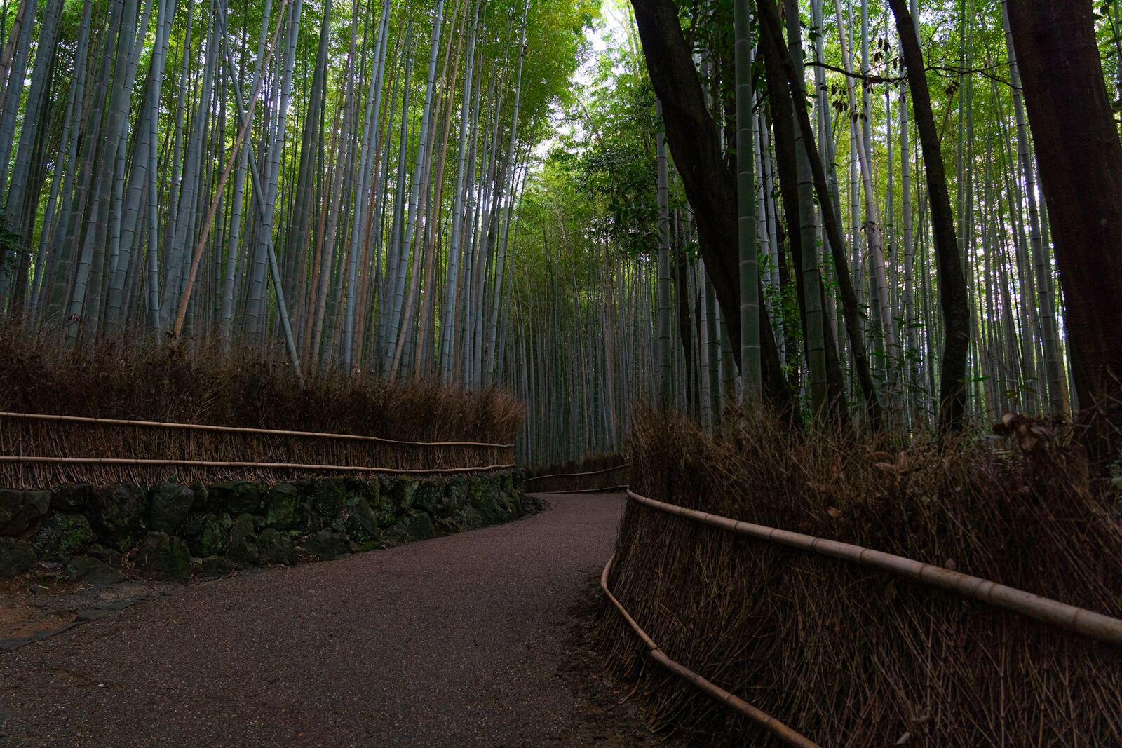 Arashiyama