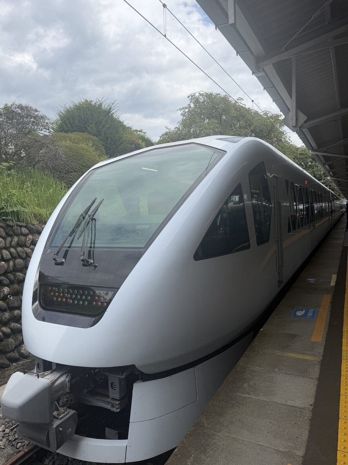 Trenes bala y panorámicos